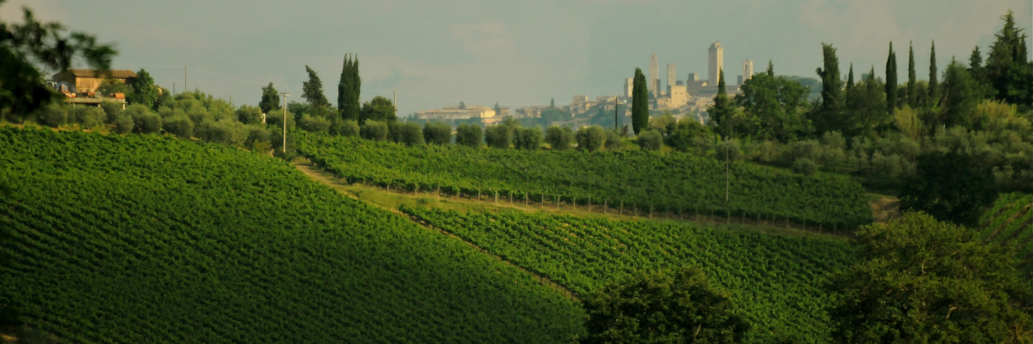 Apartments Tuscany Surroundings